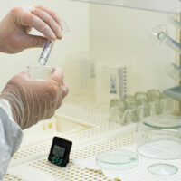 Novavax vaccine – Development and deployment stages explained